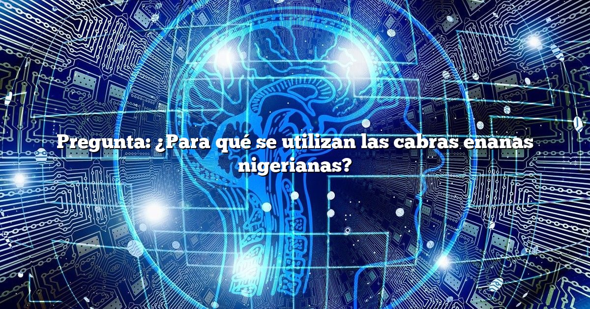 Pregunta: ¿Para qué se utilizan las cabras enanas nigerianas?