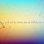 Pregunta: ¿Qué es la urea en el cuidado de la piel?