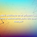 Pregunta: ¿Qué nutriente es el primero (más fácil) en descomponerse y absorberse para uso energético en el cuerpo?