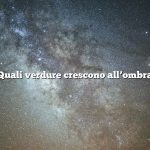Quali verdure crescono all’ombra