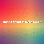 Quand fleurit le trèfle rouge