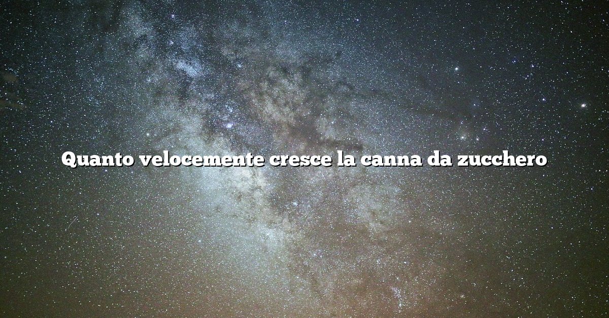 Quanto velocemente cresce la canna da zucchero