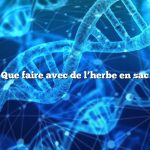 Que faire avec de l’herbe en sac