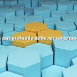¿Qué tan profundo debe ser un estanque?