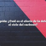 Respuesta rápida: ¿Cuál es el efecto de la deforestación en el ciclo del carbono?