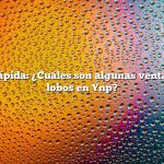 Respuesta rápida: ¿Cuáles son algunas ventajas de tener lobos en Ynp?