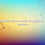 Respuesta rápida: Cómo curtir una piel de venado con cerebro