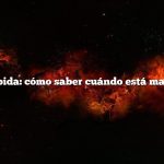 Respuesta rápida: cómo saber cuándo está maduro el melón