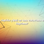 Respuesta rápida: ¿Qué es una caravana en forma de lágrima?
