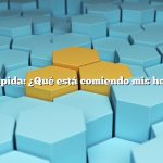 Respuesta rápida: ¿Qué está comiendo mis hojas de dalia?