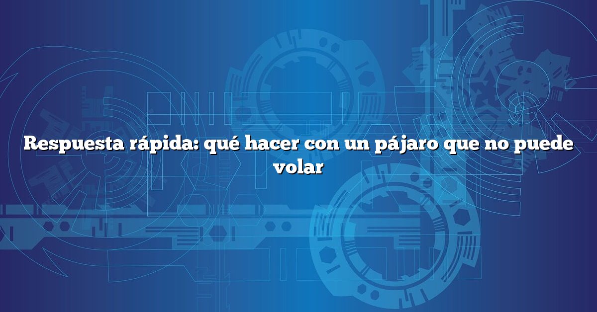Respuesta rápida: qué hacer con un pájaro que no puede volar