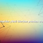 Respuesta rápida: ¿Qué hierbas pueden crecer juntas?