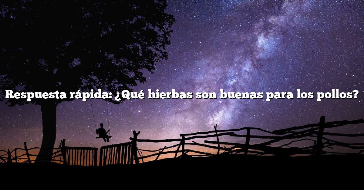 Respuesta rápida: ¿Qué hierbas son buenas para los pollos?