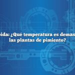 Respuesta rápida: ¿Qué temperatura es demasiado alta para las plantas de pimiento?