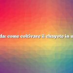 Risposta rapida: come coltivare il chayote in un contenitore