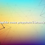 Risposta rapida: come preparare il brandy di prugne