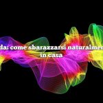 Risposta rapida: come sbarazzarsi naturalmente dei pulcini in casa