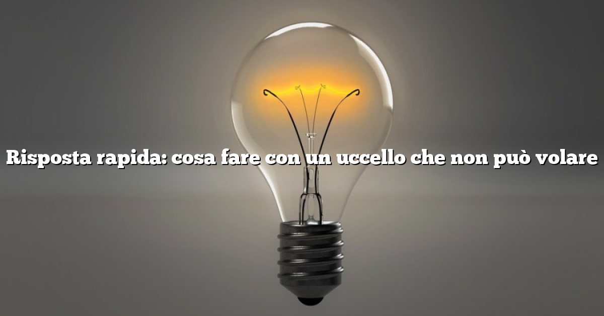 Risposta rapida: cosa fare con un uccello che non può volare