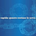 Risposta rapida: quanto costano le uova di anatra