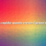 Risposta rapida: quanto cresce il grano saraceno