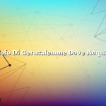 Carciofo Di Gerusalemme Dove Acquistare