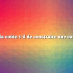 Combien cela coûte-t-il de construire une cave à racines