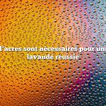 Combien d’acres sont nécessaires pour une ferme de lavande réussie