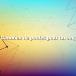 Combien de poules pour un coq