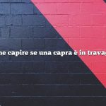 Come capire se una capra è in travaglio