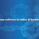 Come coltivare la radice di bardana