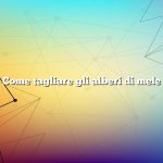 Come tagliare gli alberi di mele