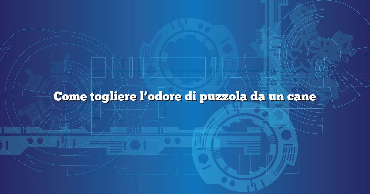 Come togliere l’odore di puzzola da un cane