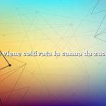 Come viene coltivata la canna da zucchero