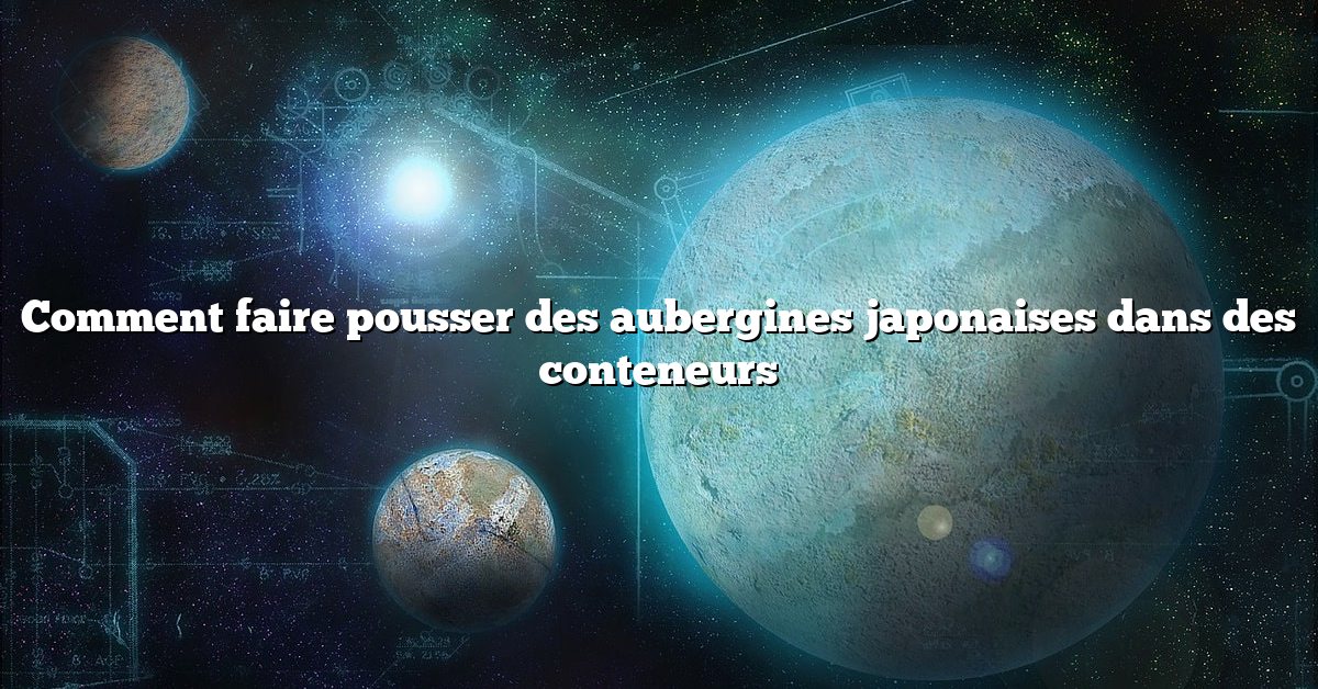 Comment faire pousser des aubergines japonaises dans des conteneurs