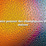 Comment faire pousser des champignons de Paris à la maison