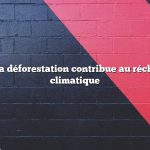 Comment la déforestation contribue au réchauffement climatique