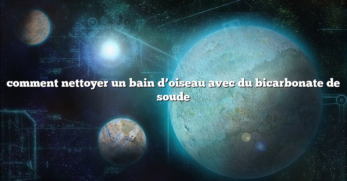 comment nettoyer un bain d’oiseau avec du bicarbonate de soude