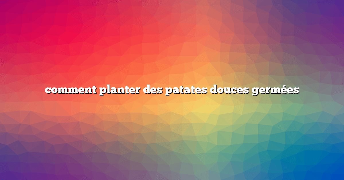 comment planter des patates douces germées