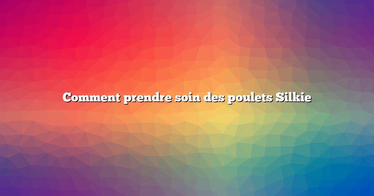 Comment prendre soin des poulets Silkie