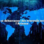 Comment se débarrasser des écureuils terrestres de l’Arizona