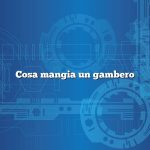 Cosa mangia un gambero