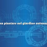 Cosa piantare nel giardino autunnale
