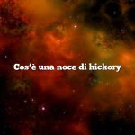 Cos’è una noce di hickory