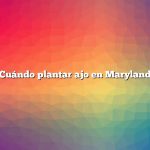 Cuándo plantar ajo en Maryland