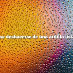 Cómo deshacerse de una ardilla listada