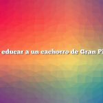 Cómo educar a un cachorro de Gran Pirineo