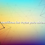 ¿Cómo se sacrifican las vacas para obtener carne?