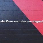 Domanda: Come costruire uno stagno Sims 4