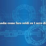 Domanda: come fare soldi su 1 acro di terra