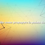 Domanda: come propagare la palma da salotto